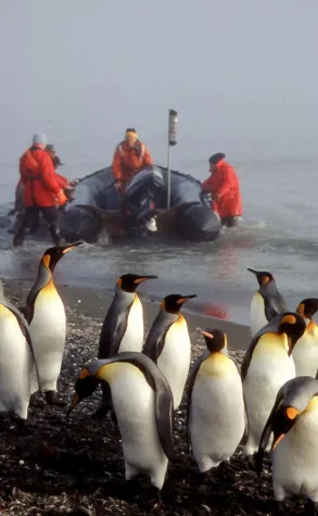 Bild: Eine bilderreiche Reise durch die Antarktis