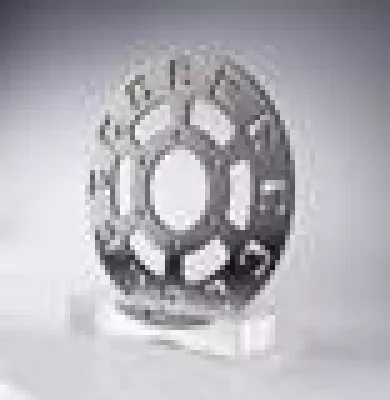 Bild: CHIP verleiht die Bremse des Jahres 2012 an Patentverwerter