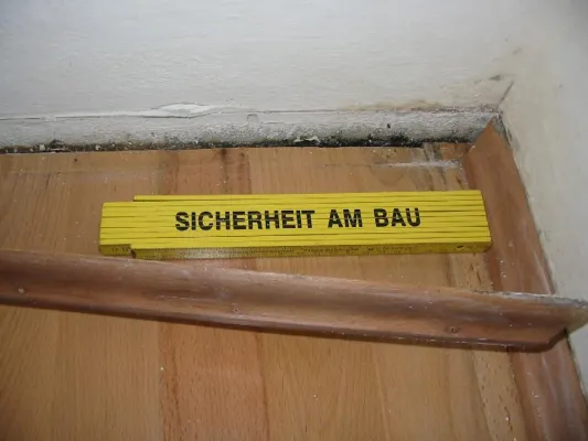 Bild: Neues Sanierungsverfahren bei Schimmelpilzbefall