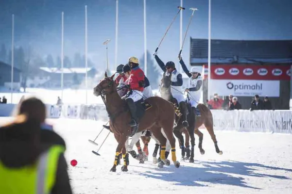 Bild: Berliner Cateringmanufaktur Optimahl beim Polo World Cup in Kitzbühel