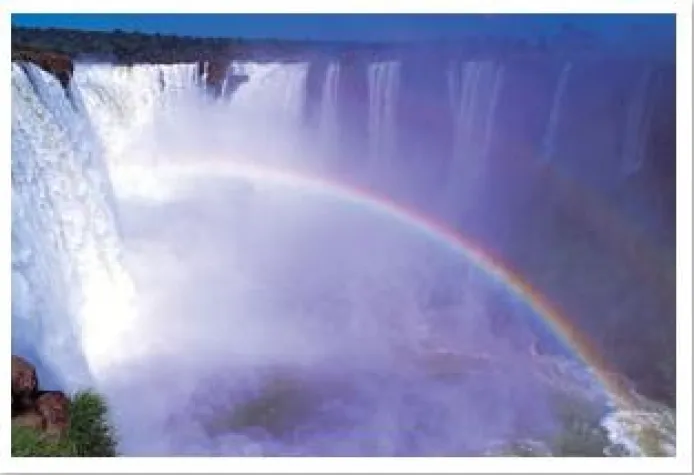 Bild: Highlights und Hängematte in Brasilien