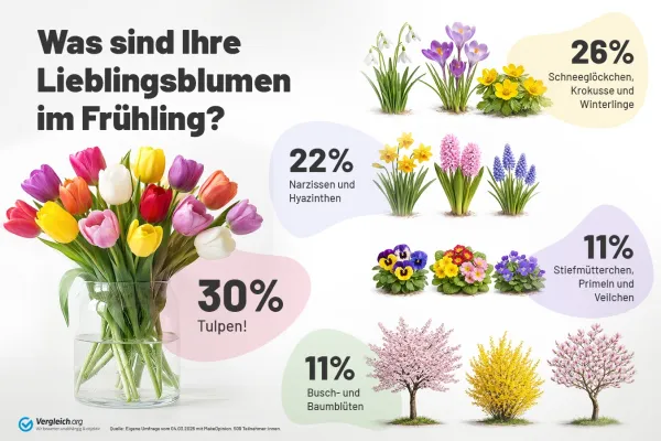 Bild: Tulpen auf Platz 1: Diese Frühlingsblüten sind am beliebtesten