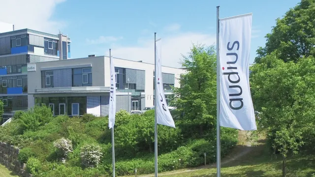 Bild: Erneut Branchensieger: F.A.Z.-Institut zeichnet audius als führenden IT-Berater aus 