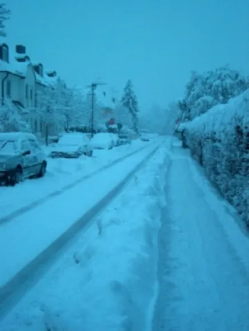 Bild: Bayern versinkt im Schnee - Bundesregierung schaut zu