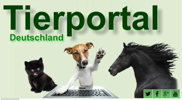 Bild: Tierärzte finden, Hundeschulen suchen: Portal für Dienstleister rund ums Haustier auf einen Klick