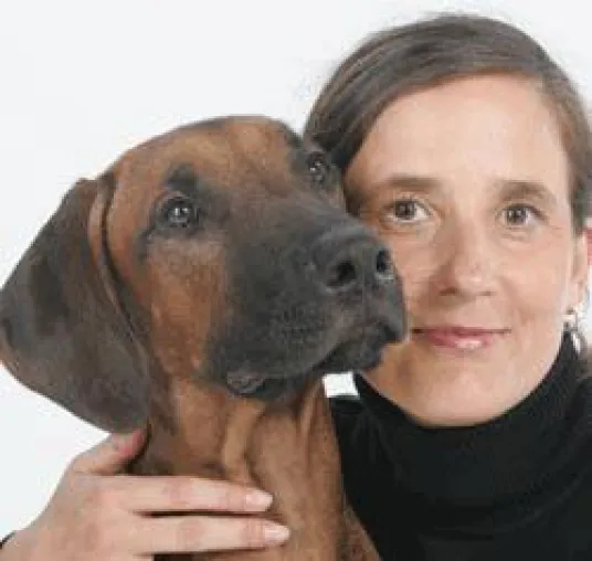 Bild: coach dogs in RTL