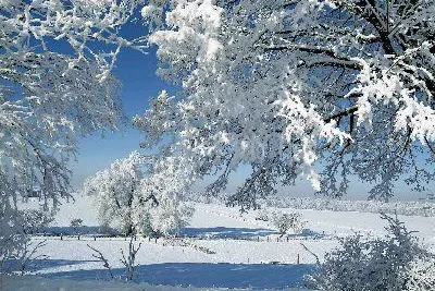 Winter im Dreiländereck Bayern Österreich Tschechien Bild: Winter im Dreiländereck Bayern Österreich Tschechien