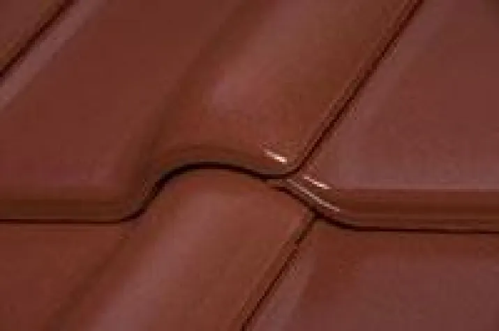 Bild: NEU ZUR BAU 2009 IN MÜNCHEN - BRAAS RUBIN 13V – DACH-ZIEGEL