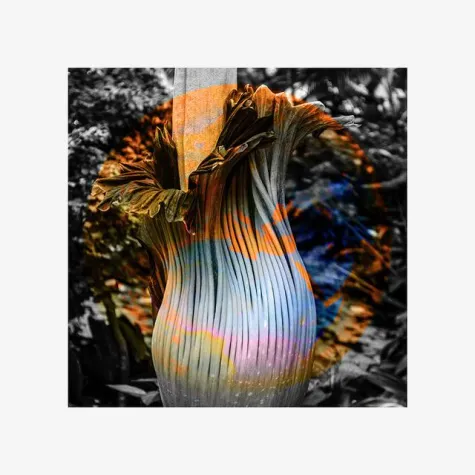 Bild: Was hat GLOBAL RISK mit Kunst zu tun?