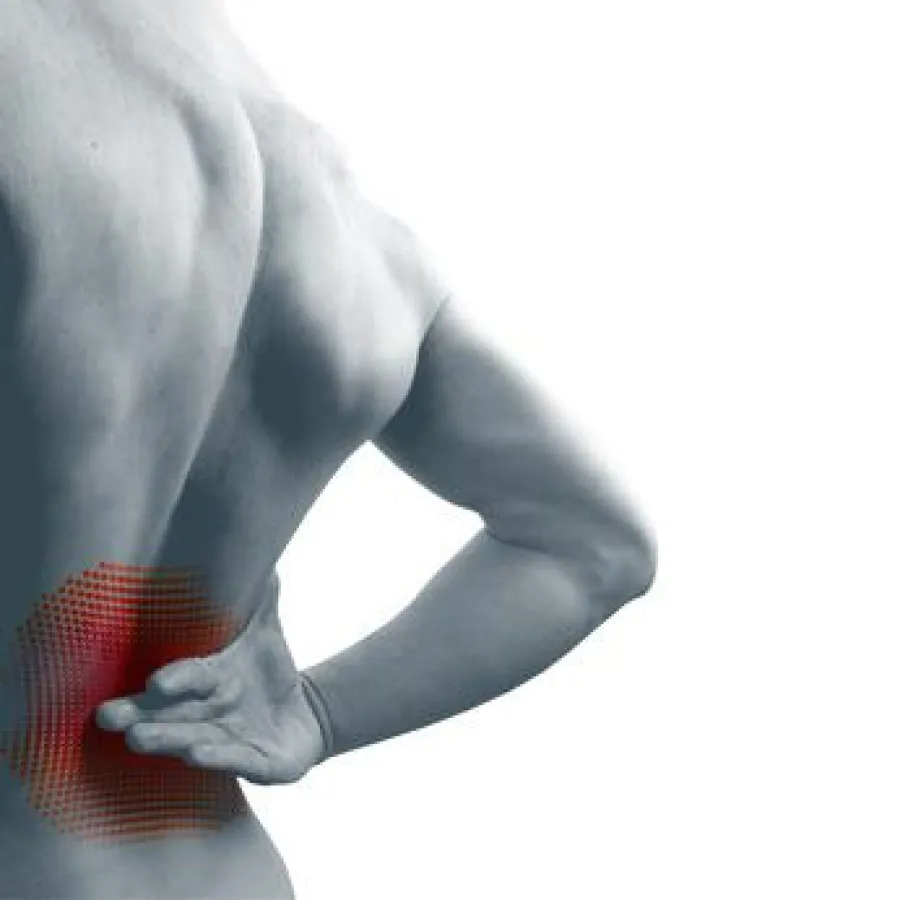 Rückenschmerzen durch Präventionstraining stärken