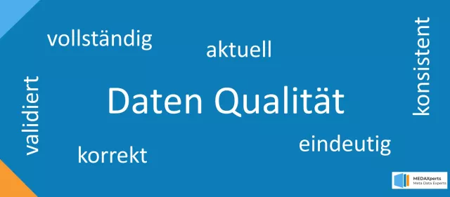 Bild: MEDAXperts Master Data Management (MDM) Consulting & Ticket System 