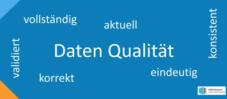 Bild: MEDAXperts Master Data Management (MDM) Consulting & Ticket System 