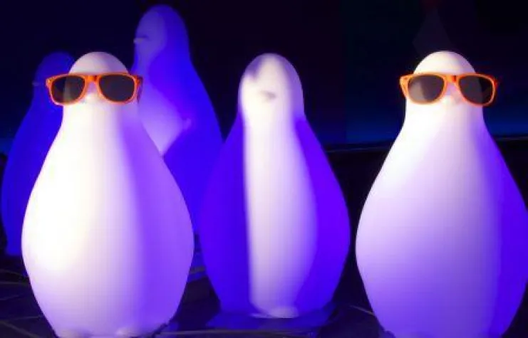 Bild: Magisch, musikalisch, faszinierend