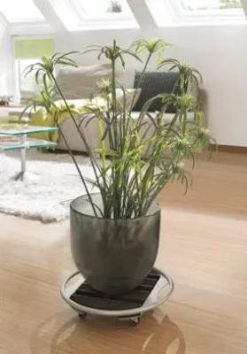 Neu von Wagner: Pflanzenroller-Serie „Venezia“ Bild: Neu von Wagner: Pflanzenroller-Serie „Venezia“