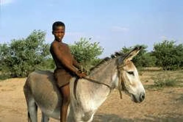 Buschleute dürfen Angehörigen kein Wasser in die Kalahari-Wüste bringen Bild: Buschleute dürfen Angehörigen kein Wasser in die Kalahari-Wüste bringen