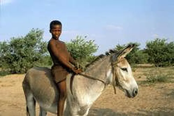 Bild: Buschleute dürfen Angehörigen kein Wasser in die Kalahari-Wüste bringen