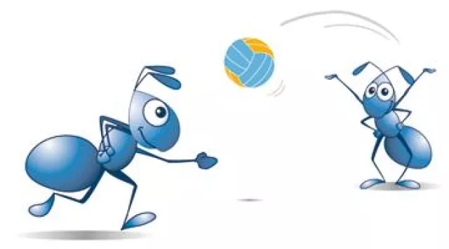 Bild: Projektmanagement für einen guten Zweck: Studierende organisieren »Blue Ant Cup« 2010