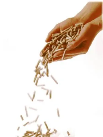 Bild: Pelletsfabrikation erfolgreich durch  Polska Business Consulting realisiert