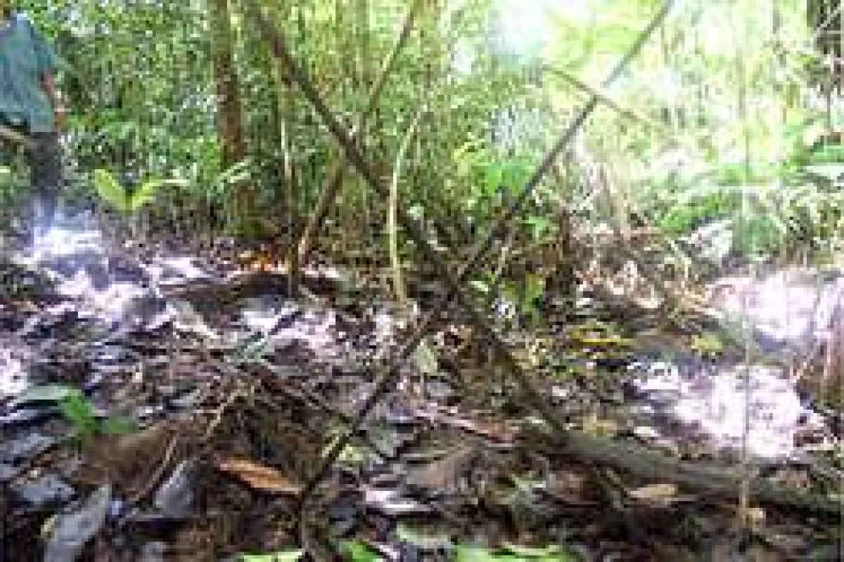 Gekreuzte Speere unkontaktierter Indigener warnen  Außenstehende vor Betretung ihres Gebietes.  ©Marek Wolodzko/Survival