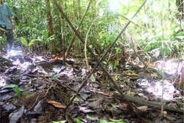 Bild: Tödliche Bedrohung: Pipeline gefährdet unkontaktierte Indigene in Peru