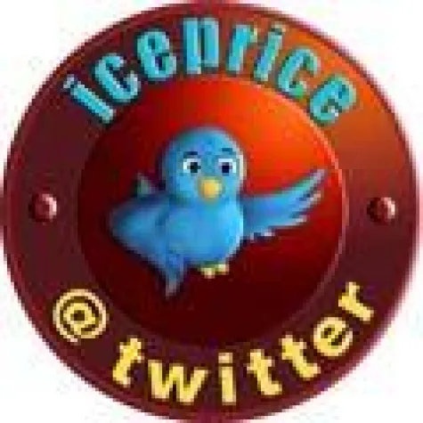 Bild: ICEPRICE jetzt bei twitter