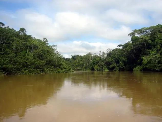 Bild: Internationaler Tag der indigenen Völker am 9. August: Lebensraum der Indigenen in Amazonien wird zerstört