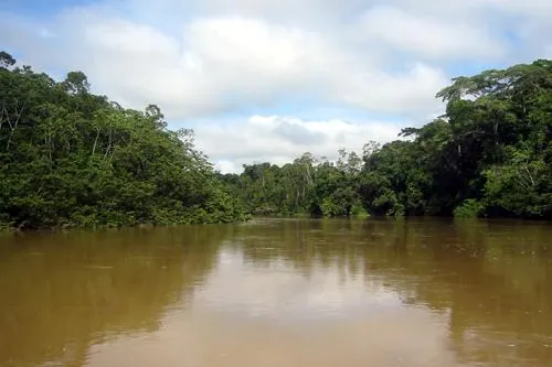 Bild: Internationaler Tag der indigenen Völker am 9. August: Lebensraum der Indigenen in Amazonien wird zerstört