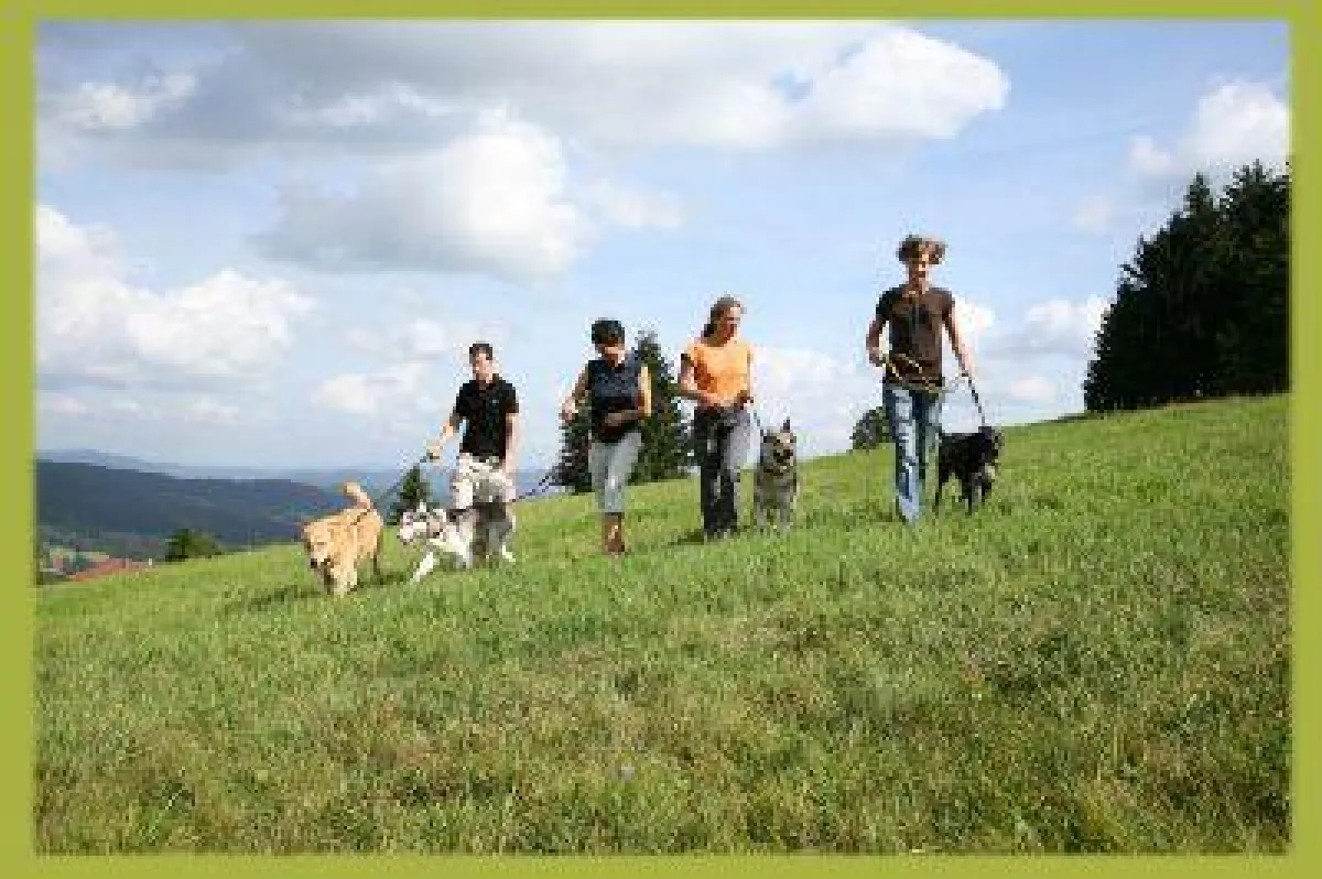 Landhotel Haus Waldeck Hundewanderung