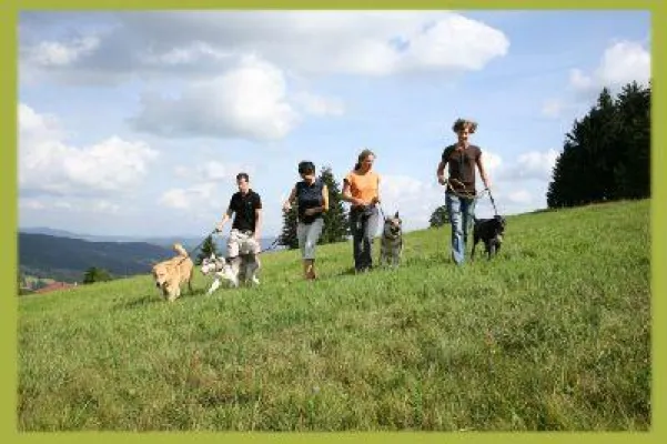 Bild: Im Bayerischen Wald gibt es Ferien zusammen mit einer Hundeschule