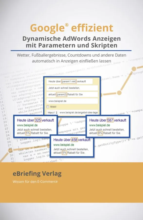 Das Cover des neuen Buches zu Google AdWords