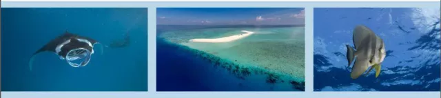 Hurawalhi Island Resort ruft Partnerschaft mit MANTA TRUST ins Leben Bild: Hurawalhi Island Resort ruft Partnerschaft mit MANTA TRUST ins Leben