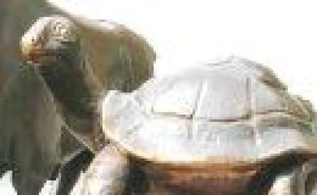 Bild: Finanzkrise - Investieren mit Bundeswertpapieren