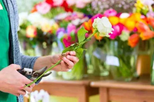 Bild: Forschungsprojekt - Wie halten Schnittblumen wirklich lange frisch?