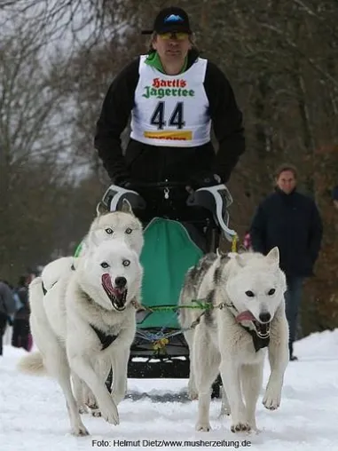 Bild: Hartl’s Jagertee - Sponsor des 35. Schlittenhunderennens am 21-22. 02. in Winterberg/Sauerland