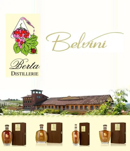 Bild: KULT GRAPPA BERTA nun auch im Sortiment von BELVINI.DE