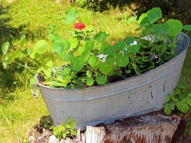 Geld vom Staat fürs Bad Bild: Geld vom Staat fürs Bad