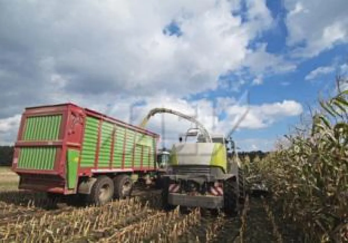 Die landwirtschaftliche Produktion als relevantes Glied der Lebensmittelwertschöpfungskette © MEV Ve