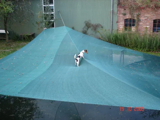 Bild: Herbstlaub im Garten- und Schwimmteich? Laubnetze helfen gegen Blattwerk