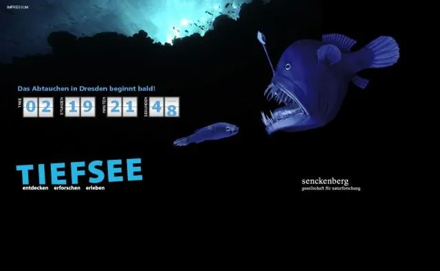 Bild: Die TIEFSEE-Ausstellung startet in Dresden