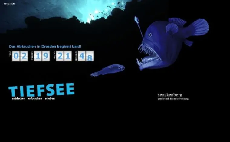 Die TIEFSEE-Ausstellung startet in Dresden Bild: Die TIEFSEE-Ausstellung startet in Dresden