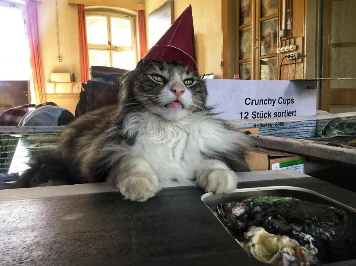 Ateliersituation Mike MacKeldey, 2018