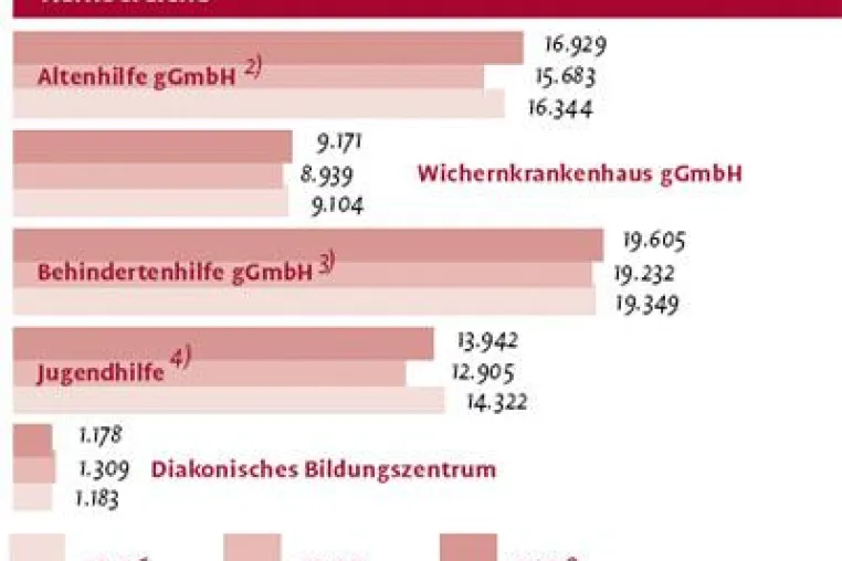 Bild: Jahresbericht des Evangelischen Johannesstifts 2008/2009 erschienen