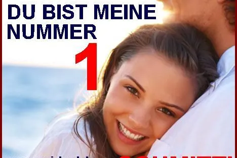 Bild: SCHMITTI - Erster Disco Partyfox von Schmitti