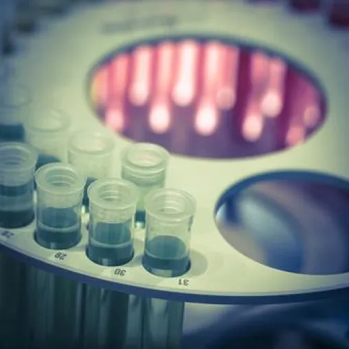 Bild: Französische Aussteller bleiben der Analytica treu