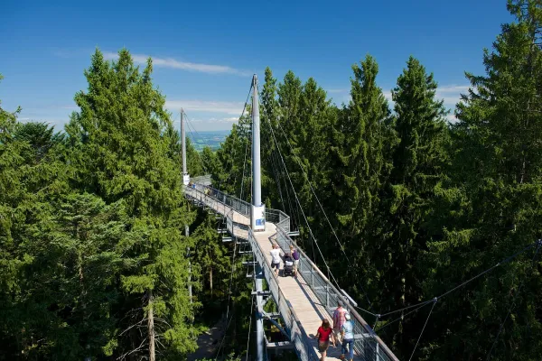 Bild: Neue Attraktion ab 21.05.2022: skywalk allgäu eröffnet "Naturerlebnisgarten - Biene und Blüte im Jahreslauf"