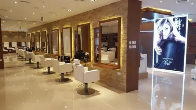 Bild: Greiner GmbH verstärkt Vertriebsaktivitäten für Friseurstühle und medizinische Liegen in UK