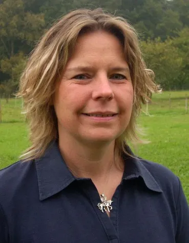 Bild: Herbstbeginn - Gefahr für Pferde durch Magendasseln