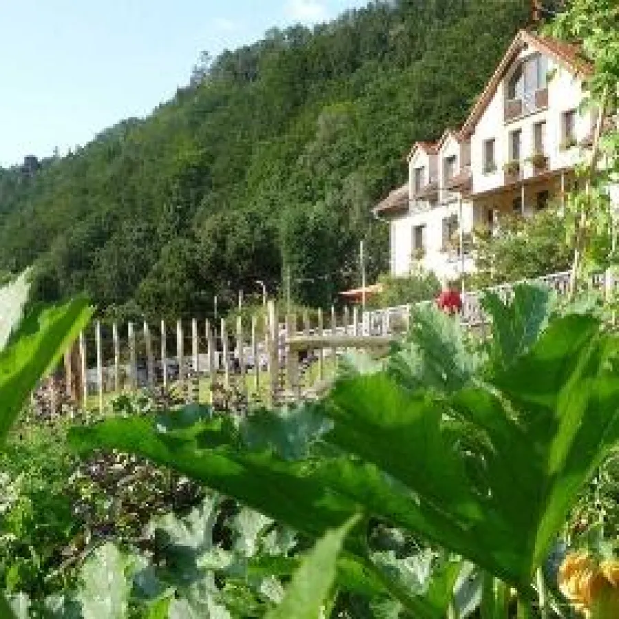 Das Biohotel Helvetia Sächsische Schweiz