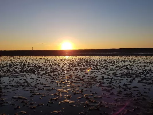 Nordsee TourismusReport 2024 startet Gäste-Befragung Bild: Nordsee TourismusReport 2024 startet Gäste-Befragung