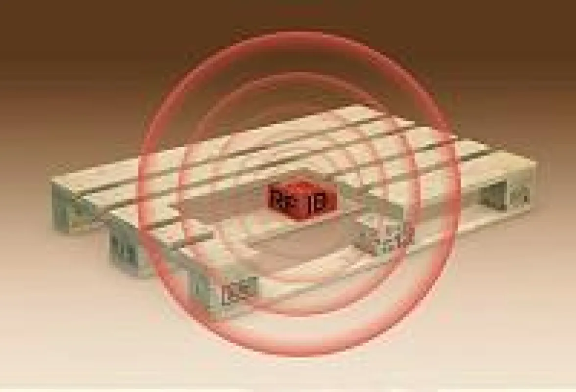 World Palette mit RFID-Technik